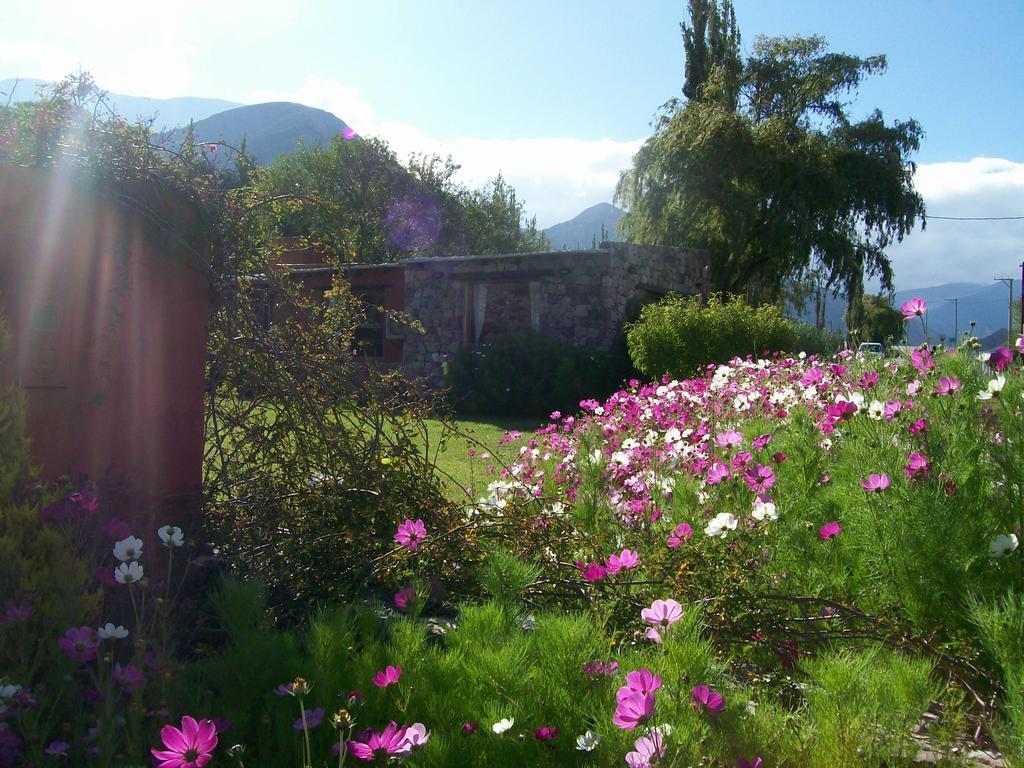 Huaira Huasi Villa Purmamarca Dış mekan fotoğraf